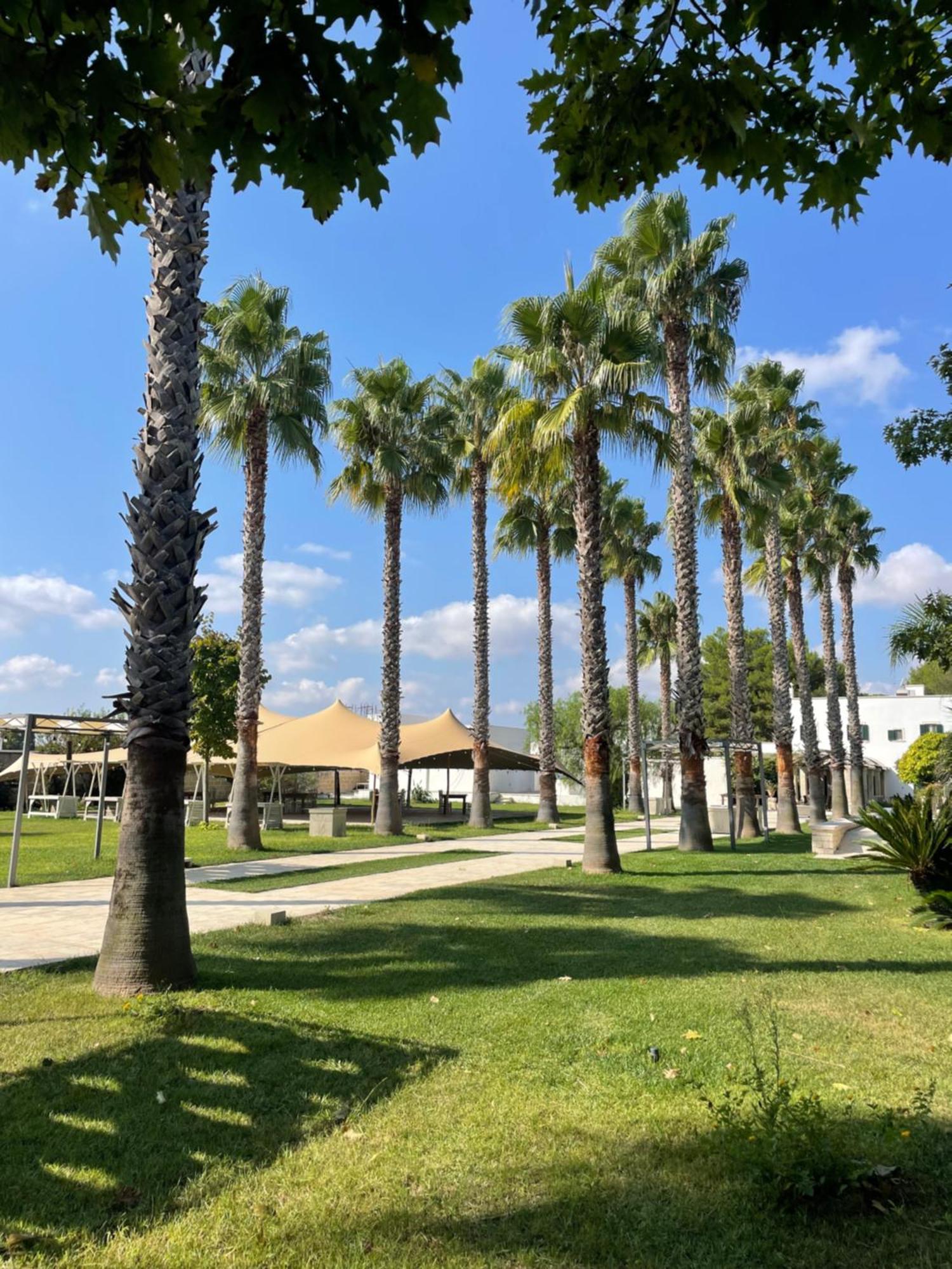 לינה וארוחת בוקר קוטרופיאנו Parco Degli Aranci מראה חיצוני תמונה