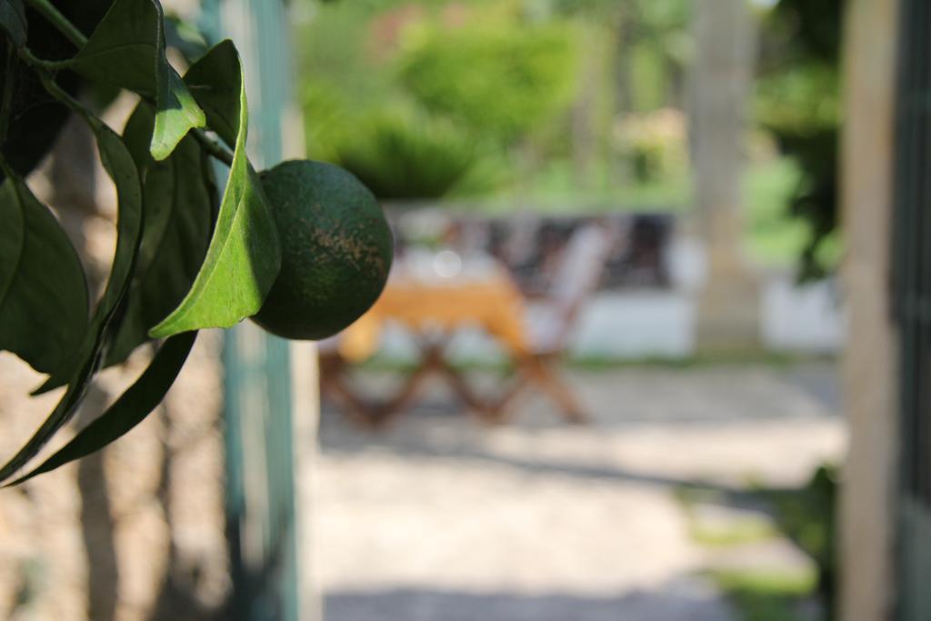 לינה וארוחת בוקר קוטרופיאנו Parco Degli Aranci מראה חיצוני תמונה